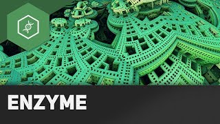 Enzyme [upl. by Bobbie870]