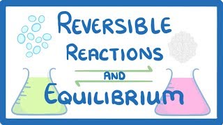 GCSE Chemistry  Reversible Reactions and Equilibrium [upl. by Nagaet166]