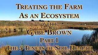 Treating the Farm as an Ecosystem with Gabe Brown Part 1 The 5 Tenets of Soil Health [upl. by Becki339]