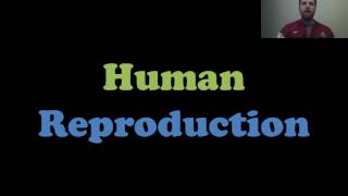 Human Reproduction [upl. by Hak]