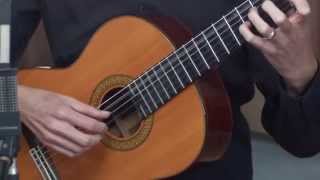 Classical Guitar Lesson 1 [upl. by Rialcnis]