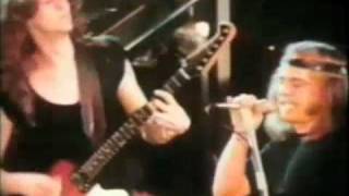 Lynyrd Skynyrd  Free Bird Music Video Synced WStudio Recording [upl. by Enale834]