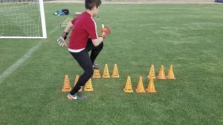 U12 Goalkeeper Training [upl. by Halika]